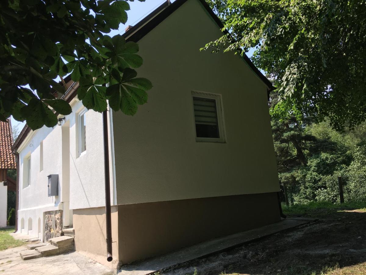 I Love Krynica Apartamento Krynica Morska Exterior foto